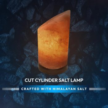 08937686-dd53-4210-8c7a-c66c3ffe2b1e