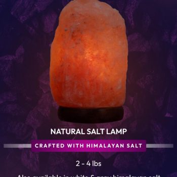 09bc7b13-018a-4d9d-bca6-7a5b06593f77