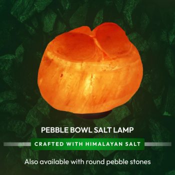 13895eea-95f0-455f-bd3b-1386dc5b5cc4