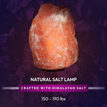 19d2d08f-59db-4895-b2b2-4e60ec63aad3