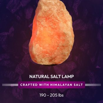 2185c172-ef97-43a0-87ba-7b3ab5296297