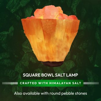 2568e40c-eded-4e31-b2ff-2bbe35a374e9