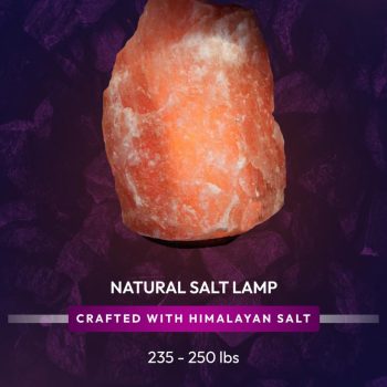 2e8d5e89-028a-41b8-8f32-4463f834cdf6