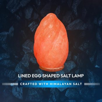 376c9fae-657c-4393-8d68-dcda12745582