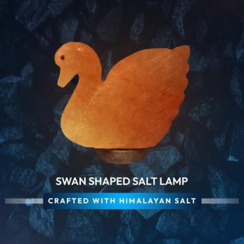 40883c37-6ca3-44ad-9ba8-7abd277cd4bd