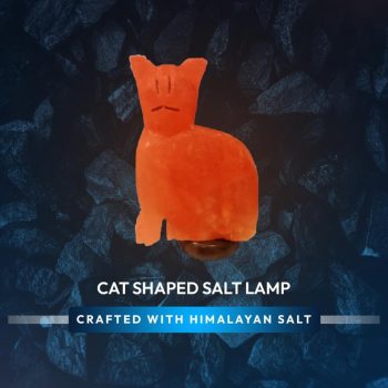 42f5ec5b-a3b7-49a8-8e34-c373051e36dc