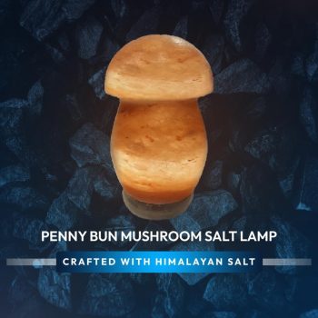 4c6d03c1-95a5-4ba8-8895-6293effcc847