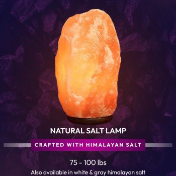 81c2ae0a-1a40-48fd-bfc1-194434a2dd3d