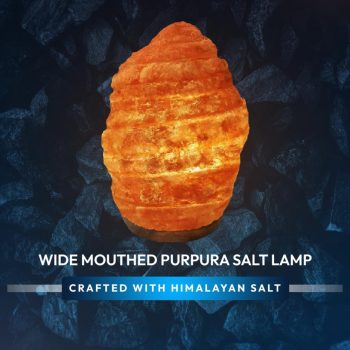 911820a2-8e06-4a90-a97c-2af1f1a56e68