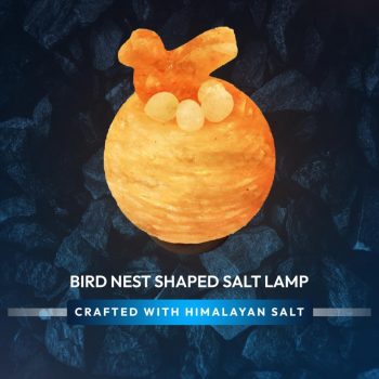 977f7b79-f9a7-4ba6-abb1-1b05868a2bf7