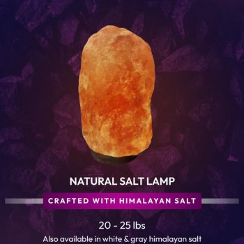 b0e781d9-015a-42fd-af01-4f251ba03077