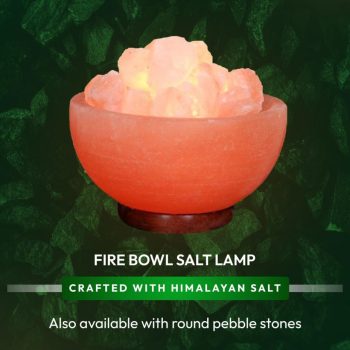 b299515d-7fdd-48d3-9fe1-3ab6f9758326