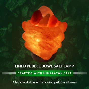 bc686c1b-938a-4ed5-b443-b0daecef8af6