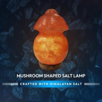 c29ab76a-8ede-4ee1-bc33-4133b7c36410