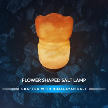 ced188c4-3cad-4851-b2a0-7386fc2ef2e4