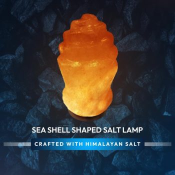 d772ceac-4422-436b-8e2e-b13dc3726e73