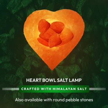 ed2ca2ce-bf98-4827-99a3-519a074d8eaa