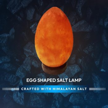 ee03c00e-e8d9-442d-b0e4-8a0b61a85882