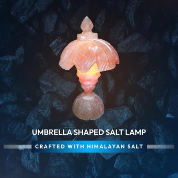 f491508b-3661-4419-8b7d-7910fa22d9d1